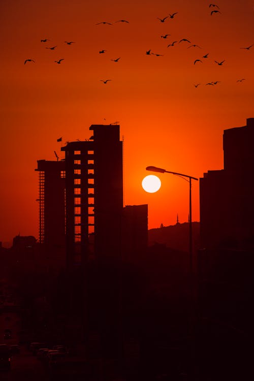 akşam karanlığı, dikey atış, gökdelen içeren Ücretsiz stok fotoğraf