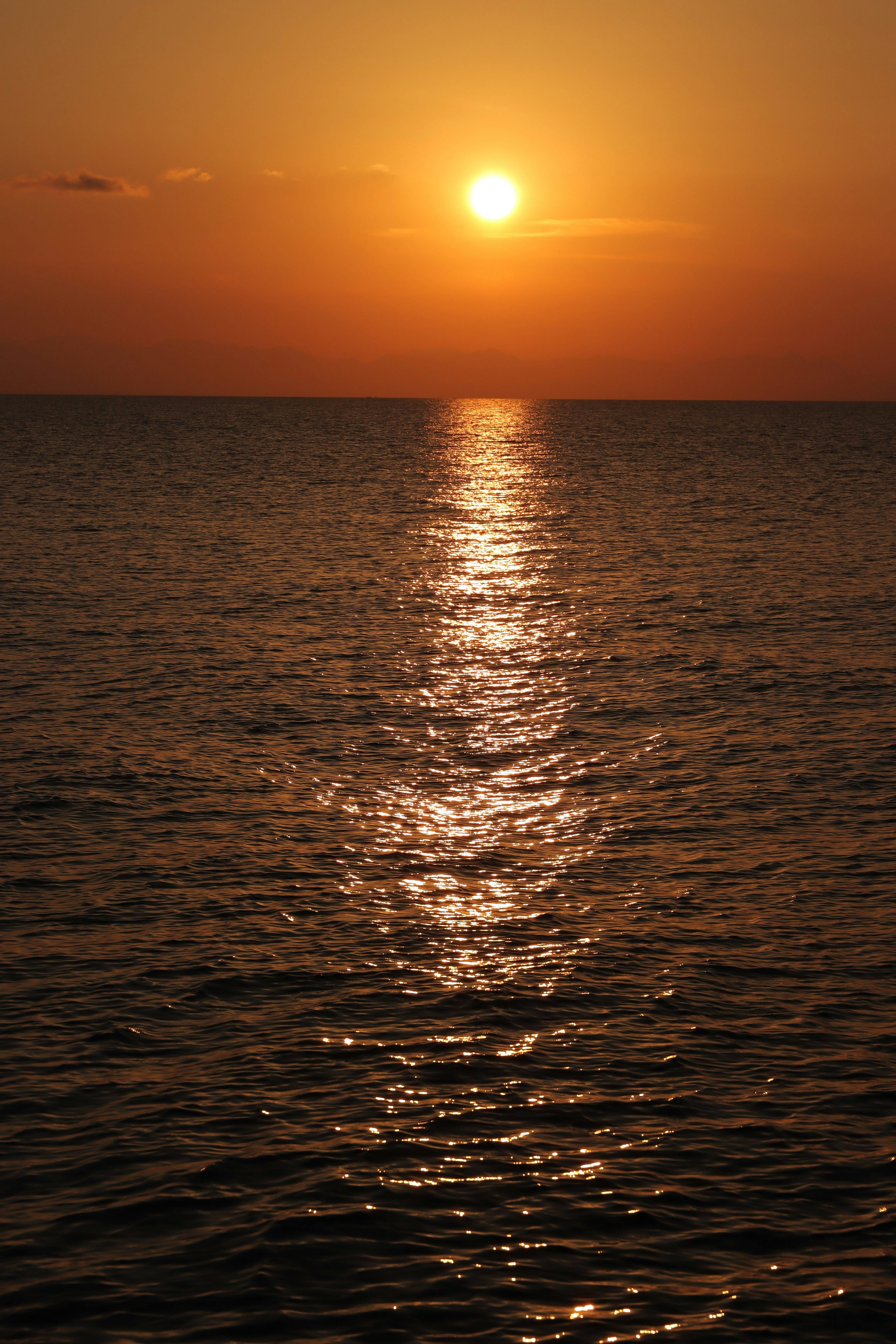 wallpaper8