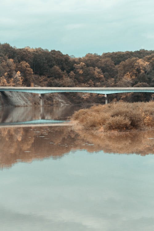 düşmek, ırmak, köprü içeren Ücretsiz stok fotoğraf