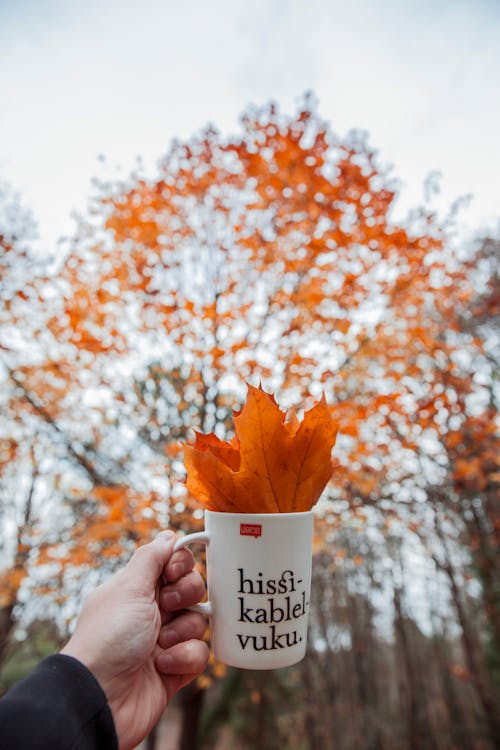 Hand Holding a Cup with a Bunch of Orange Leaves 