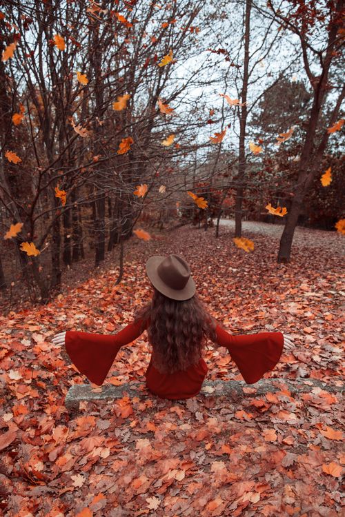 Free A woman in a red sweater sits amidst fallen autumn leaves in Istanbul, Türkiye, creating a serene fall scene. Stock Photo