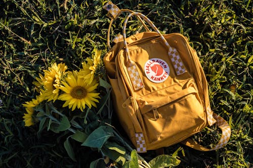 Backpack and Sunflowers