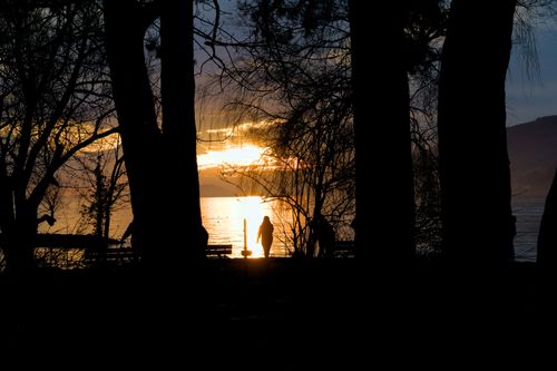 Free A peaceful lakeside sunset scene with a silhouette of a woman standing by the water, surrounded by trees. Stock Photo