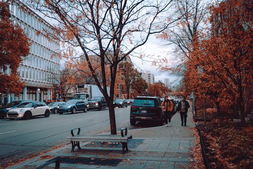 Free stock photo of autumn, montreal, tree Stock Photo