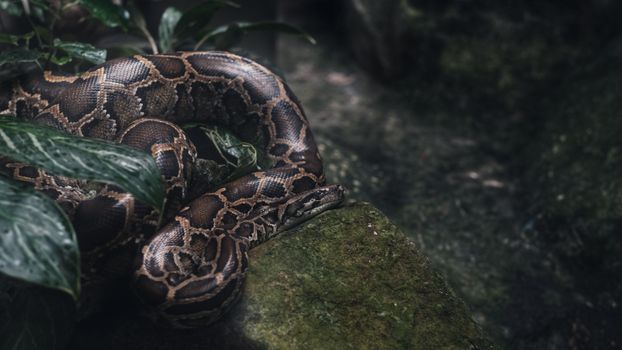 Secrets of Python Tutorials: hidden features - Featured Image