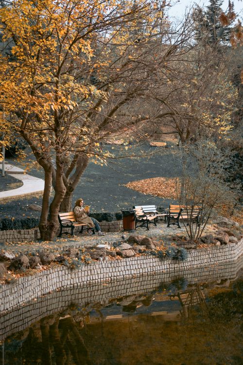 Free Peaceful autumn scene with a woman reading on a park bench by a lake. Stock Photo