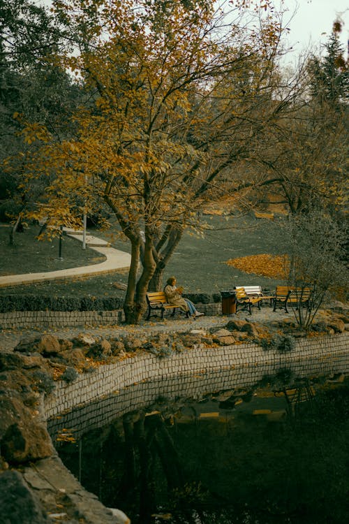 Free Woman Sitting on a Bench in a Beautiful Autumn Park with Pond Stock Photo