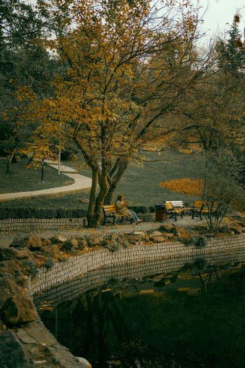 Free A woman sits reading on a bench in a tranquil autumn park by a pond. Stock Photo