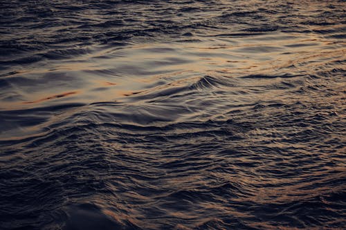 Close-up of a Water Surface at Sunset