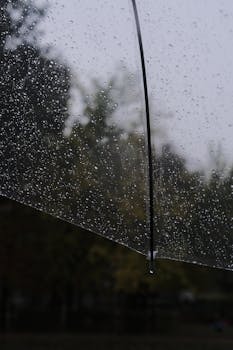 Raindrops on a transparent umbrella with blurred trees in the background, creating a serene rainy day mood.