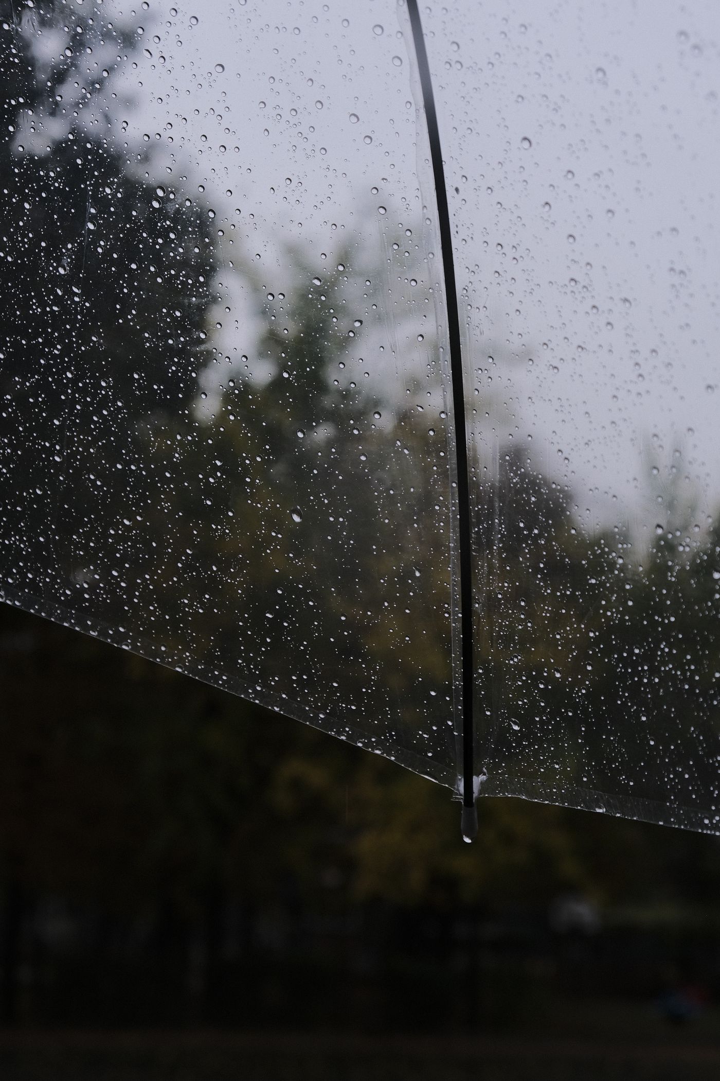 Gouttes de pluie sur un parapluie transparent