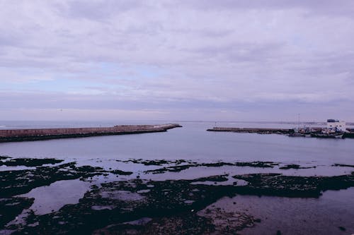 Безкоштовне стокове фото на тему «берег моря, застуда, Затока»