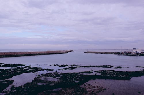 Fotos de stock gratuitas de bahía, cielo nublado, costa