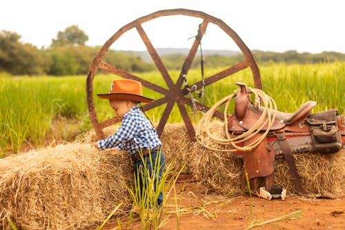 Foto d'estoc gratuïta de barret de cowboy, bufó, cadira de muntar