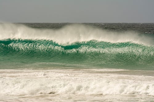 岸邊, 招手, 撞击波浪 的 免费素材图片