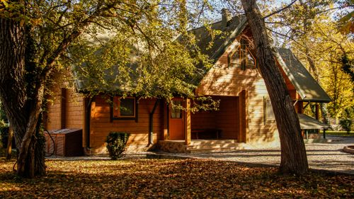 Free A cozy wooden house amidst autumn foliage, bathed in warm sunlight. Stock Photo