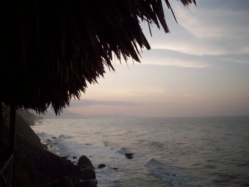 Free stock photo of palm, sea, sunset Stock Photo