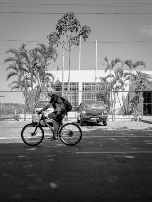 Foto stok gratis berkuda, bersepeda, hitam & putih