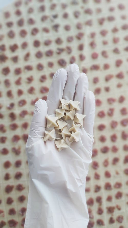 Hand in White Glove Holding Small Decorations