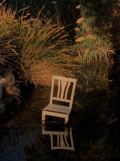Free Discover the serene beauty of an abandoned wooden chair reflecting in a tranquil pond in Antalya. Stock Photo
