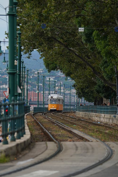 A Train in a City