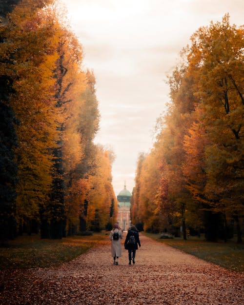 Couple Walking Park Alley in Autumns