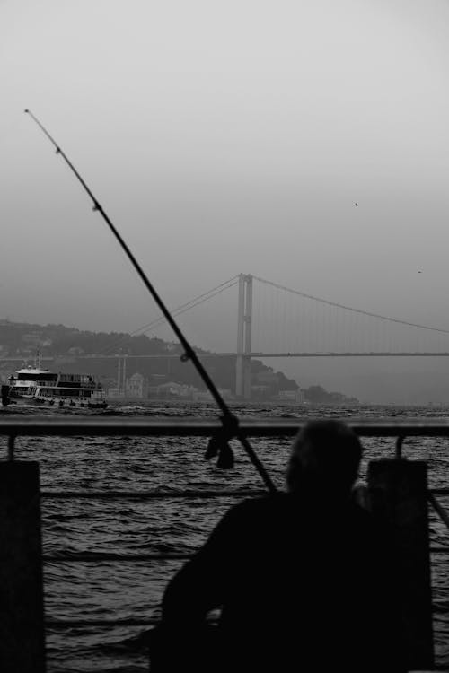 Immagine gratuita di bianco e nero, bosphorus, divertimento