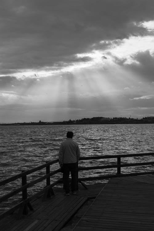 Immagine gratuita di bianco e nero, in piedi, lago