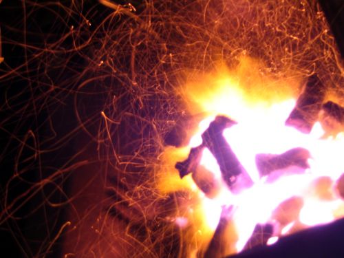 Free stock photo of bonfire, embers, sparks Stock Photo