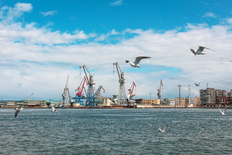 Seagulls in flight above a bustling industrial port, featuring cranes and buildings