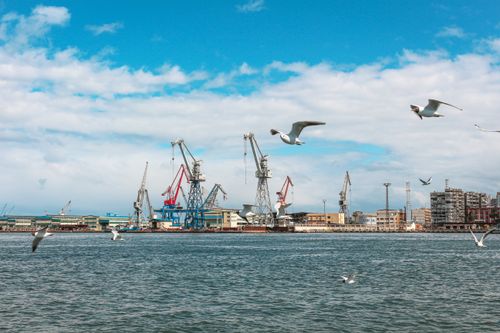 Free Seagulls in flight above a bustling industrial port, featuring cranes and buildings. Stock Photo