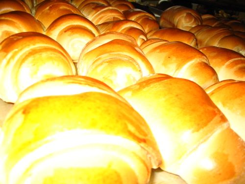 Free stock photo of bakery, breadmaking, breads Stock Photo