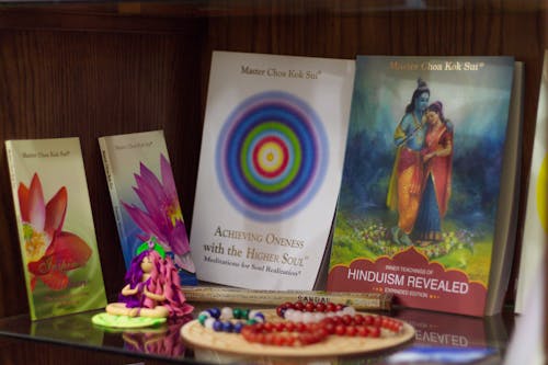 Darmowe zdjęcie z galerii z ambasador hindustanu, bransoletka z koralików, fioletowy