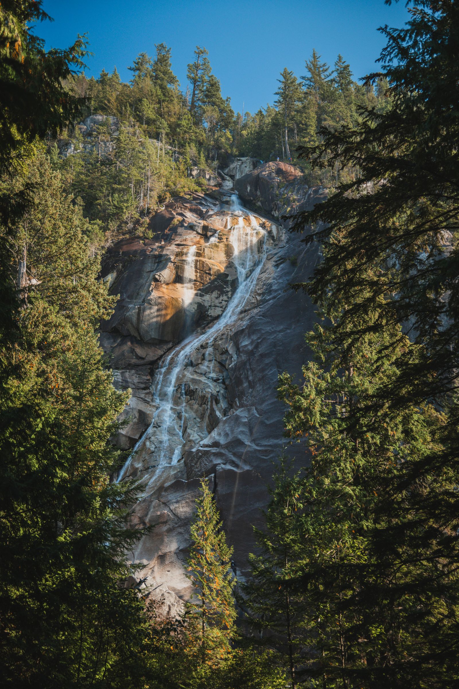 Wtaerfall Tree Photo of a Waterfall Between Trees · Free Stock Photo