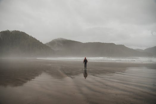 A person walks along a misty beach with a mountainous backdrop, creating a serene and contemplative mood.