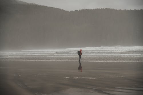 Gratis stockfoto met alleen, backpack, bomen