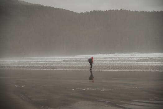 A solitary person walks along a misty beach with waves and forest in the background.