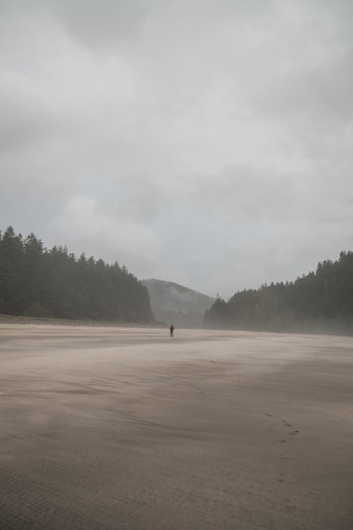 Person Standing Alone on Wasteland on Foggy Day