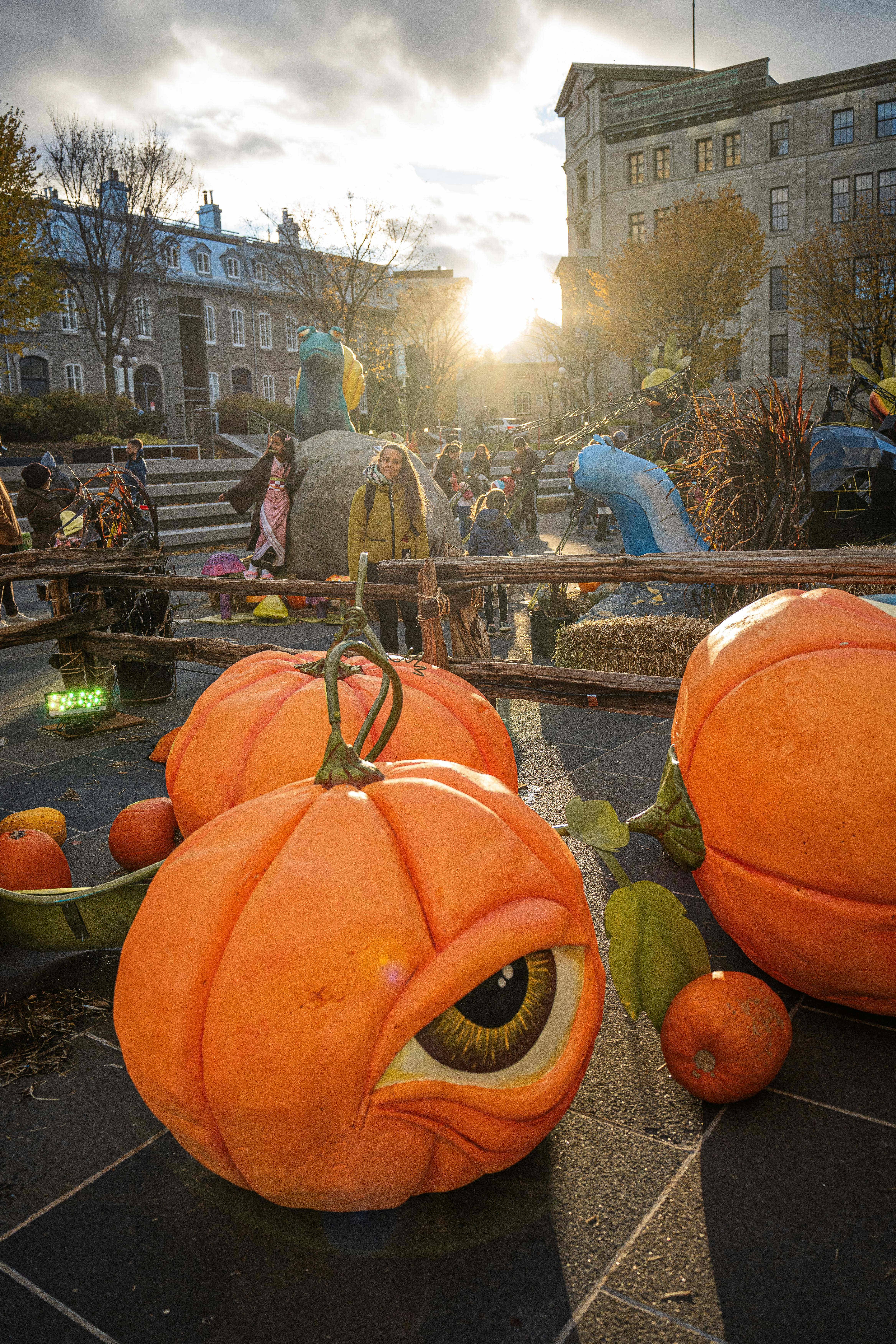 Halloween québec · Free Stock Photo