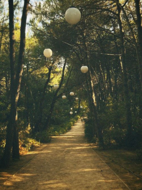 Free Serene forest pathway with hanging lanterns creating a magical atmosphere in sunlight. Stock Photo