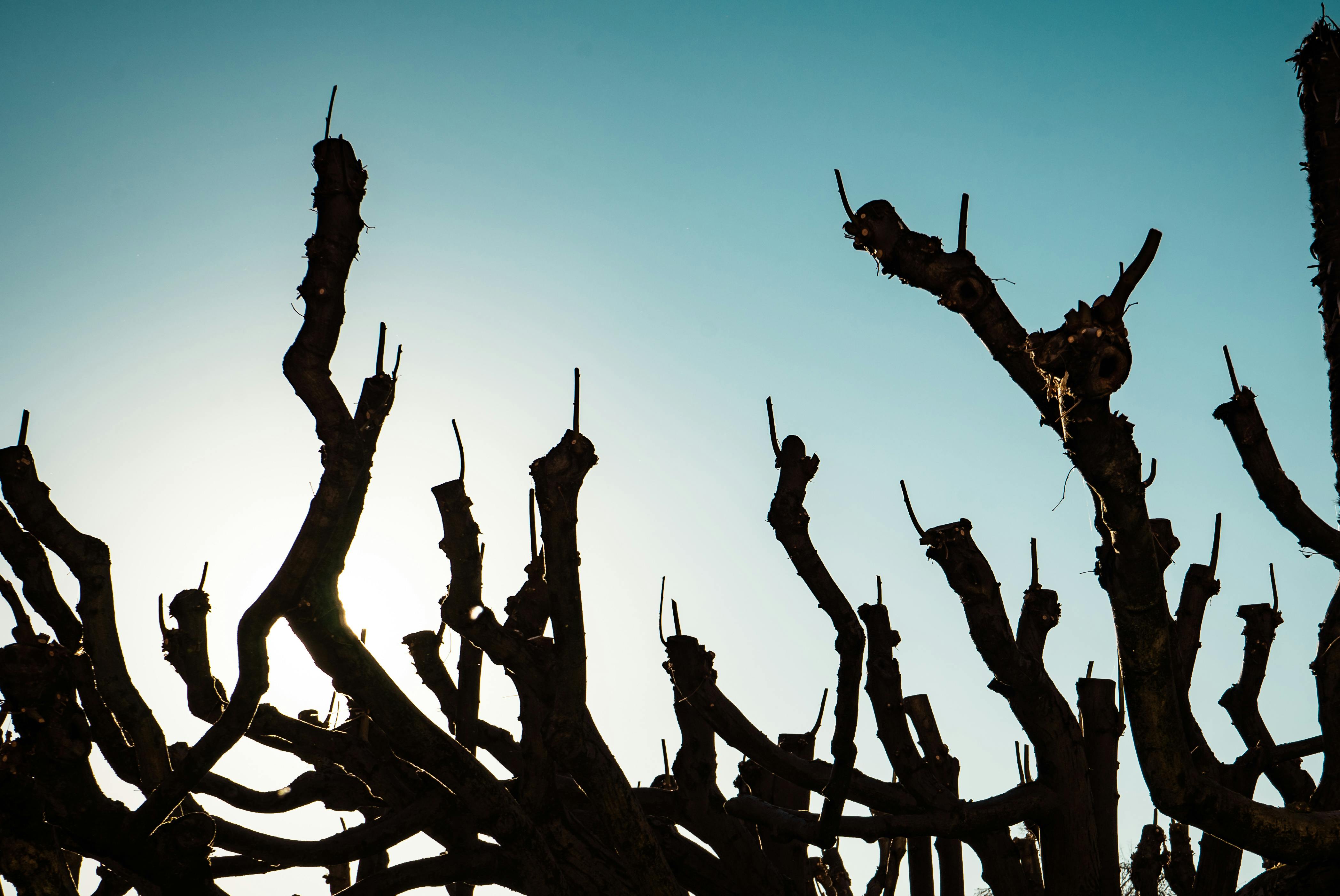 خلفيات بنات HD