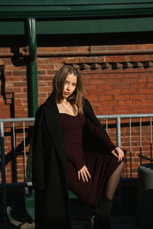 Beautiful Woman in Coat and Black Dress Posing by Fence