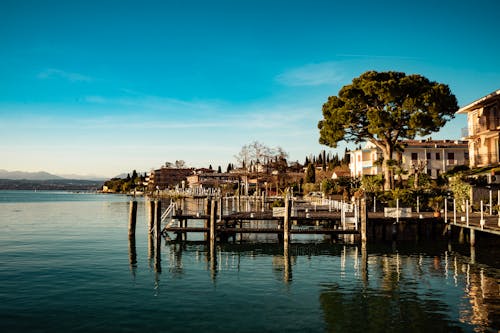 Albero Verde Vicino Al Molo E Edifici Bianchi