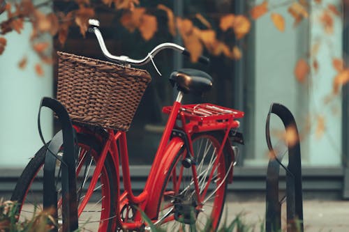 Fotos de stock gratuitas de básquet, bici, bicicleta