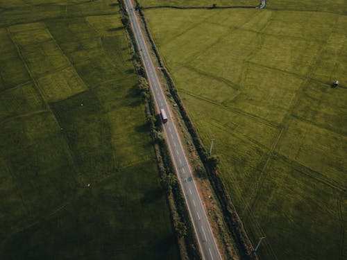 Kostnadsfri bild av asfalt, bilar, gräs