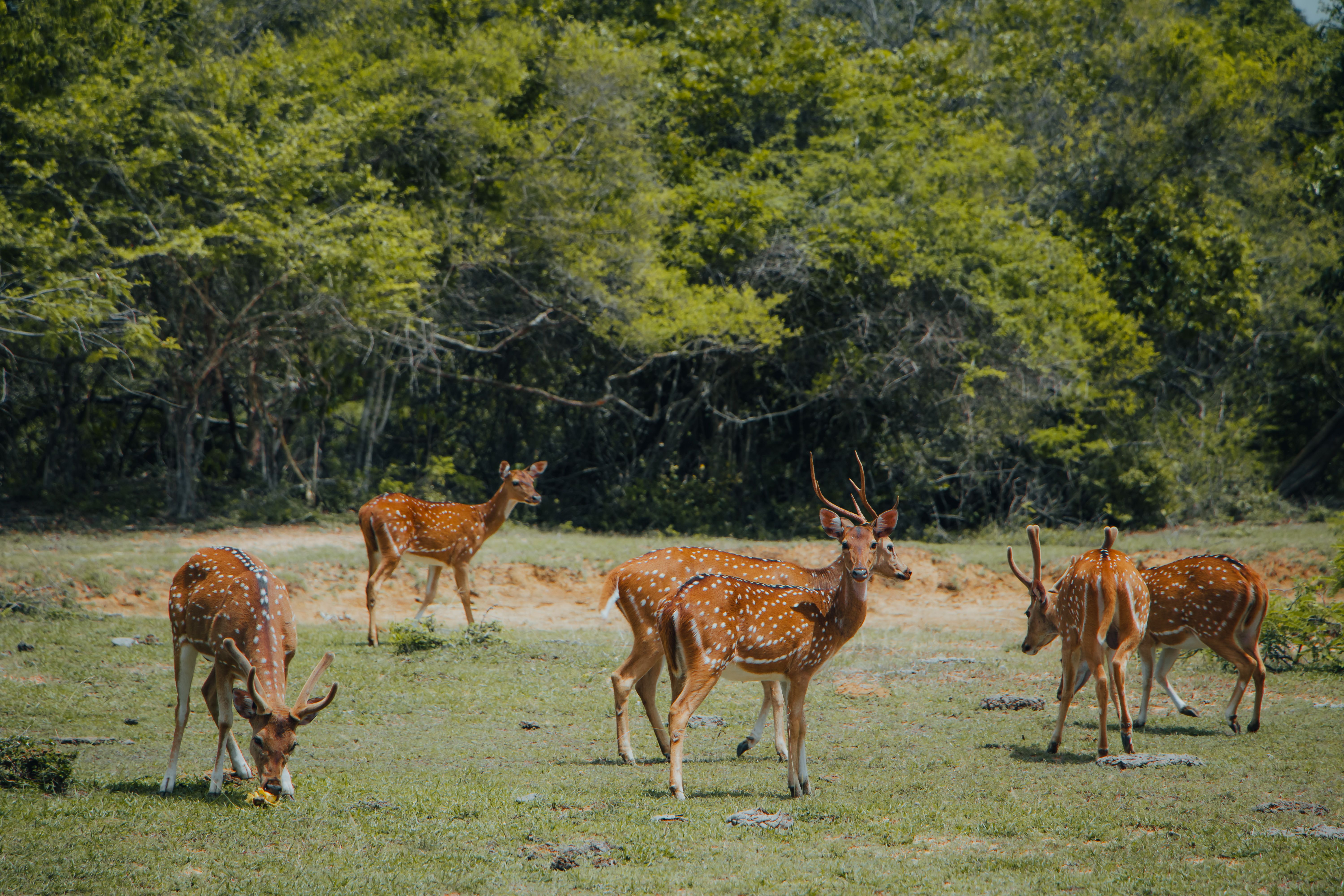 Landmarks in Wilpattu National Park