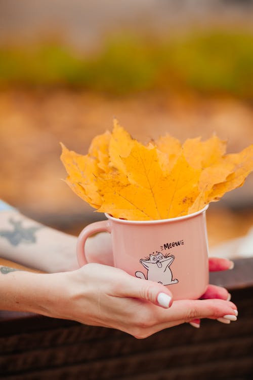 Woman Hand Holding Cup with Autumn Leaves