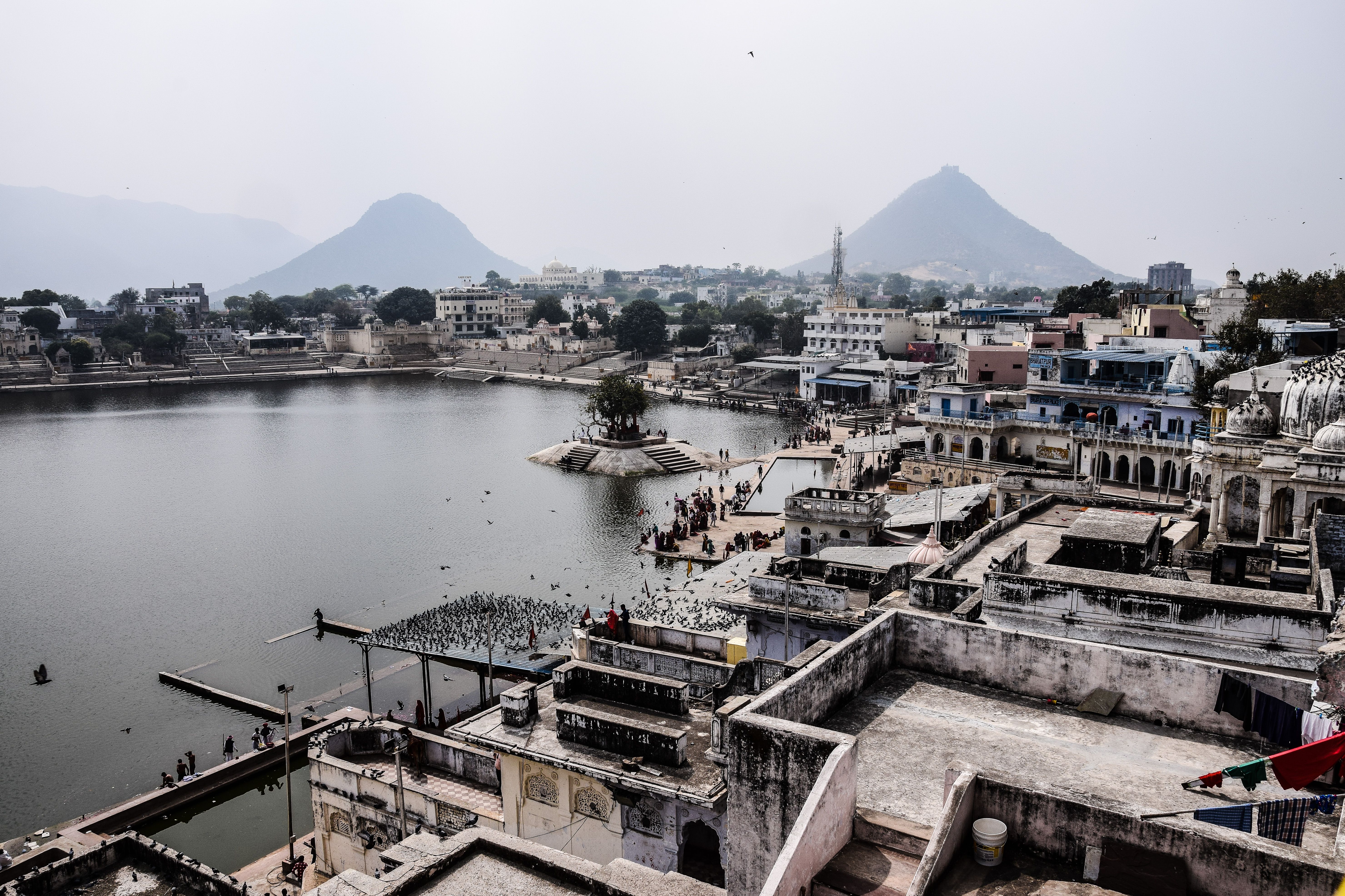 Aerial view of Pushkar Lake with bustling townscape and hills in Rajasthan, India.