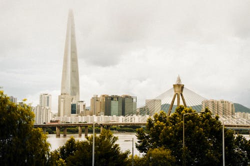 고층 건물, 도시의, 롯데 월드 타워의 무료 스톡 사진