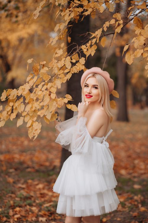 Young Woman in a White Tulle Dress Posing in a Park in Autumn Free Stock Photo Young Woman in a White Tulle Dress Posing in a Park in Autumn Free Stock Photo